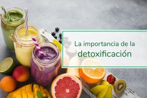 Lee más sobre el artículo La importancia de la detoxificación