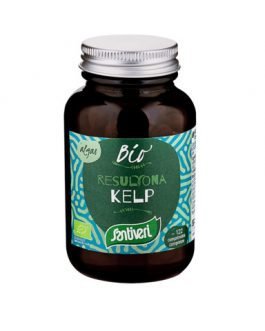Alga Kelp – Quanticum