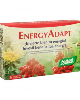 EnergyAdapt
