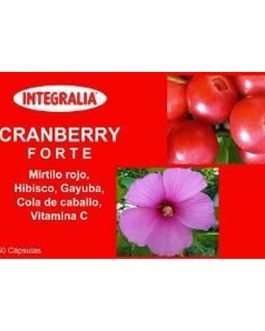 Cranberry Forte – 60 cáps.
