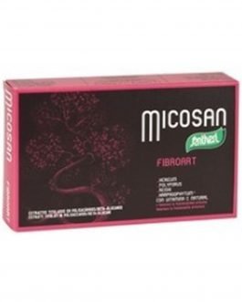 Micosan Fibroart